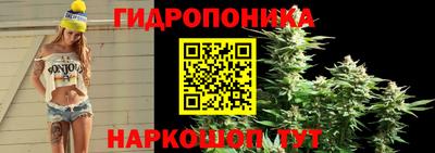 не бодяженный Лесосибирск
