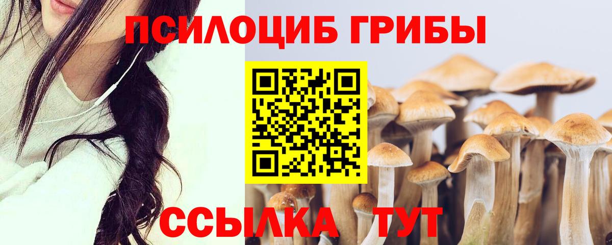 Псилоцибиновые грибы ЛСД  Вход с VPN  Жуковский 